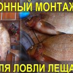 Донный монтаж для ловли леща! Такой снастью я ловил леща на слабом течении! Изготовление и сборка