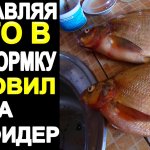 Успешно Ловлю Леща на Фидер Добавляя Это в Каши Прикормки