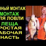 Донный Монтаж для ловли Леща, Простая Рабочая Донная Чувствительная Снасть