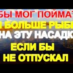 Рыбалка на удочку весной, ловля плотвы, ельца на поплавок