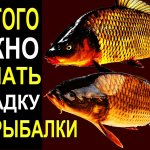 Имея при себе 3 капли масла,зубчик чеснока,кусочек ваты, можно сделать отличную насадку
