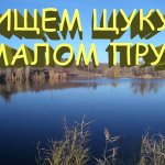 Ловля щуки в малом пруду на воблер Zip Bates Orbit 110 SP