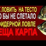 Как ловить леща,карпа на тесто в фидерной ловле, Делаем бойл что бы не слетала с крючка насадка