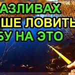 Лучше ловить рыбу весной на поплавок в разливах на на это!