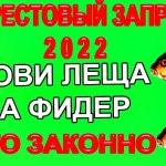 Можно Ловить Леща на Фидер в Нерестовый  Запрет в 2022 году