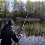 Карась на удочку в мае как в старые времена | Рыбалка на пруду