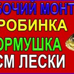 Имея при себе 1 дробинку,1 кормушку и 50 см лески,Ты соберёшь Отличный Рабочий Донный Монтаж на леща