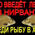Дай глотнуть лещу воздуха и он твой или как правильно доставать рыбу при ловле на поплавочную удочку