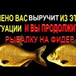 Всегда разбавляйте каши прикормки пшеном,если перестарались с жидкостью