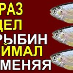 Ловить Весеннюю уклейку, лучше всего на Эту Насадку, отвечая на ваши вопросы