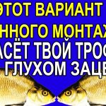 Донный Монтаж который Спасёт Любой Твой Трофей при Глухом Зацепе  кормушкой