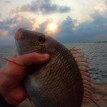 РЫБАЛКА на ШРИ-ЛАНКЕ. ЧАСТЬ 1 | SRI LANKA FISHING. PART 1