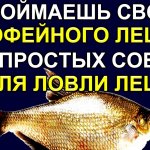 Три Полезных совета, Как поймать Трофейного Леща