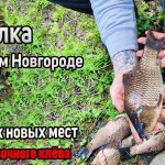 Проверка ночного клева на озере за городом Бор. Рыбалка в Нижнем Новгороде