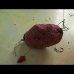 КАША ДЛЯ КАРАСЯ, КАРПА, ПЛОТВЫ,Простая Каша для РЫБАЛКИ