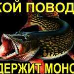 Поводок для ловли щуки выдержит любого монстра