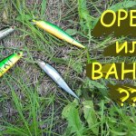 Битва воблеров: Орбит против Вантена. Кто победит?