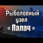 Рыболовный узел Палач. Как привязать карабин. Как привязать вертлюжок. Узлы для рыбалки