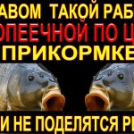 Рабочая копеечная по цене прикормка для ловли карпа и карася на озере, самая бюджетная на 2022 год