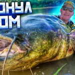 КЛЮНУЛ СОМ | РЫБАЛКА на ДЖИГ