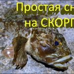Простая снасть для ловли морского ерша скорпены