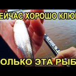 Лещ пока клевать не будет! Клюёт и ловится только она! #рыбалка2022