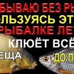 НЕ БЫВАЮ БЕЗ РЫБЫ НА ЛЕТНЕЙ РЫБАЛКЕ НА УДОЧКУ ПОЛЬЗУЯСЬ ЭТИМ! ВСЁ КЛЮЁТ И ЛОВИТСЯ ОТ ПЛОТВЫ ДО ЛЕЩА