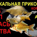 Этой кашей прикормкой ты можешь ловить леща, карпа, карася и любой донной кормушкой, арбуз, пуля