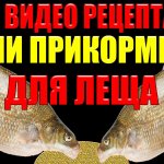 Посмотрев это видео ты узнаешь, как сделать рабочую прикормку для ловли леща и не одну а целых две