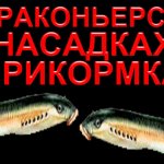 НА КАКУЮ НАСАДКУ ЛОВЯТ БРАКОНЬЕРЫ ТЫ УЗНАЕШЬ ПОСМОТРЕВ ЭТО ВИДЕО И ИСПОЛЬЗУЮТ ЛИ ОНИ ПРИКОРМКУ