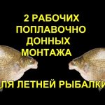 Вы поймаете Больше рыбы и крупнее на удочку на летней рыбалке на поплавочно донные монтажи