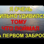 Закинув удочку в реку я был приятно удивлён! Рыбалка 2022 на поплавок, ловля рыбы на реке