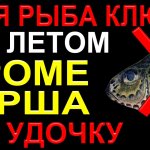 Вся рыба клюёт на удочку кроме ерша летом на эту насадку! Моя секретная насадка из СССР #рыбалка