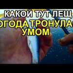 Этот фактор ставит крест на всей  придонной рыбе на реке #рыбалка