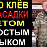 Про насадки и клёв летом на удочку, фидер простым языком рыбака