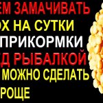 Зачем замачивать сухой горох для прикормки перед рыбалкой на сутки  когда ты можешь сделать проще