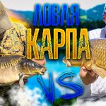 ЛОВЛЯ КАРПА в БЕЛАРУСИ | КАРПФИШИНГ ЛЕТОМ | ЗАБОРЬЕ