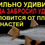 Я БЫЛ В ВОСТОРГЕ! КОГДА ДОСТАЛ ЭТО НА УДОЧКУ!  РЕКА СУХОНА ВСЕГДА УДИВЛЯЛА ТРОФЕЯМИ!