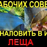 СМОТРИ ВИДЕО ТЫ И  УЗНАЕШЬ О ТРЁХ РАБОЧИХ СОВЕТАХ КОТОРЫЕ ПОМОГУТ ТЕБЕ УСПЕШНО ЛОВИТЬ ЛЕЩА В ИЮЛЕ!!