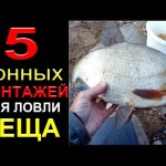 Смотри это Видео и Узнаешь о Пяти Донных монтажах на которые Лучше Всего Ловить на Рыбалке
