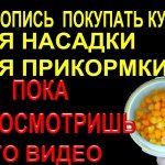 Не торопись покупать кукурузу в банке, пока не увидишь это видео!