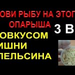ОТЛИЧНАЯ НАСАДКА ДЛЯ РЫБАЛКИ ОПАРЫШ СО ВКУСОМ ВИШНИ, АПЕЛЬСИНА,  #рыбалкасдимономкруглыйгод