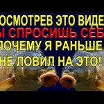 Уловистая насадка которая есть у каждого рыбака дома! Но мало кто ловит летом рыбу на неё, а зря!