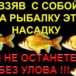 Без улова не останетесь с этой насадкой! 1 наживка 5 вкусов, Нравится любой рыбе на реке, озере