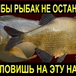 Без рыбы летом рыбак не останешься на рыбалке! Если знаешь рецепт этой отличной насадки!