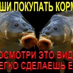 Не спеши покупать кормушку пружину пока не посмотришь это видео! Ты легко сделаешь сам!