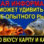 ИЗ ЭТО МОЖНО СДЕЛАТЬ ХОРОШУЮ ПРИКОРМКУ И ИСПОЛЬЗОВАТЬ ДЛЯ ЛОВЛИ КАРПА, КАРАСЯ НА РЫБАЛКЕ НА УДОЧКУ