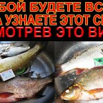 Вы удивитесь когда увидите состав этой рабочей, отличной насадки