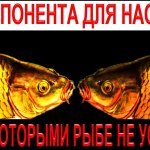 2 компонента для насадок, перед которыми рыбе не устоять, вся рыба не в силах устоять перед ними!!