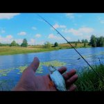 Мормышинг. Ловля краснопёрки летом. Рыбалка на спиннинг в августе.